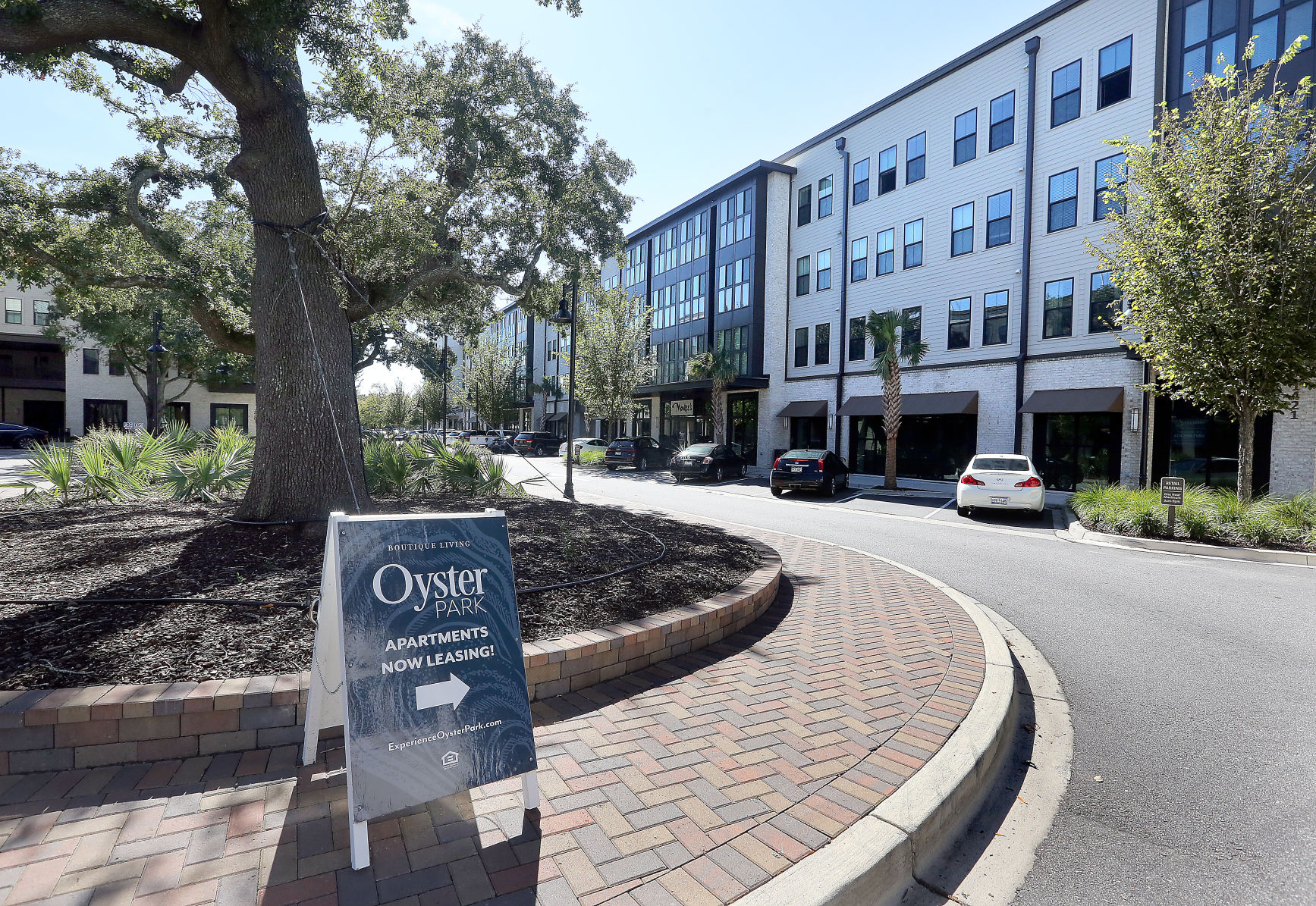 Oyster Park (copy)